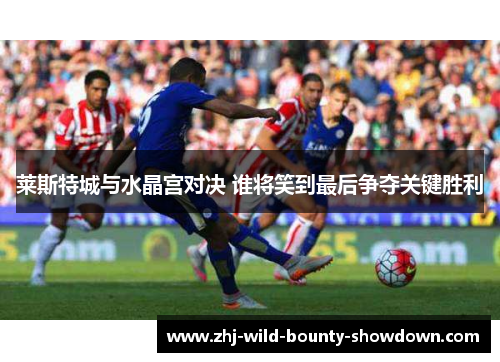 莱斯特城与水晶宫对决 谁将笑到最后争夺关键胜利