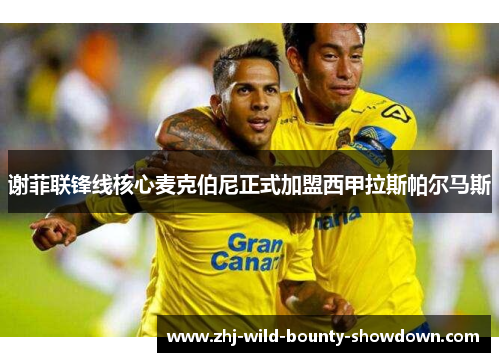 谢菲联锋线核心麦克伯尼正式加盟西甲拉斯帕尔马斯 谢菲联锋线核心麦克伯尼正式加盟西甲拉斯帕尔马斯